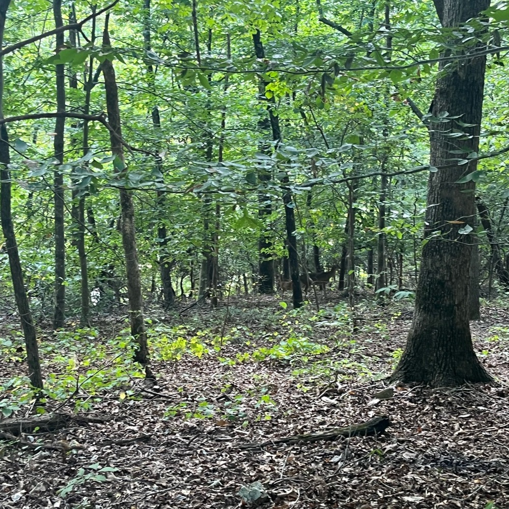 Meet your Posher, Nina Leigh